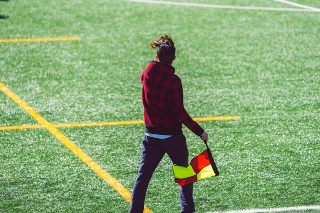 过于豪华的 过于豪华的