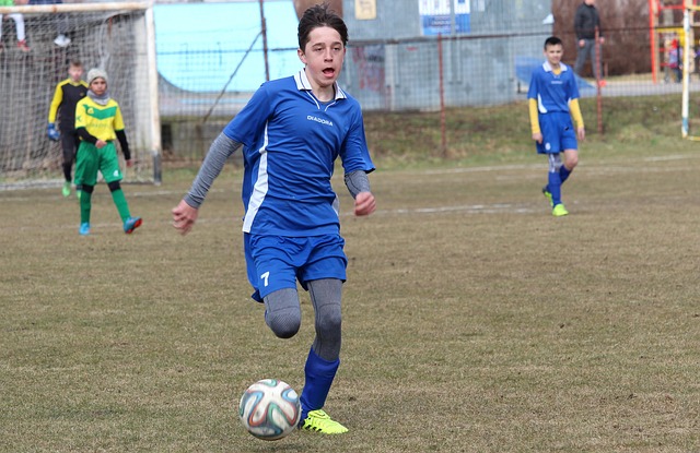 他们凭借 他们凭借