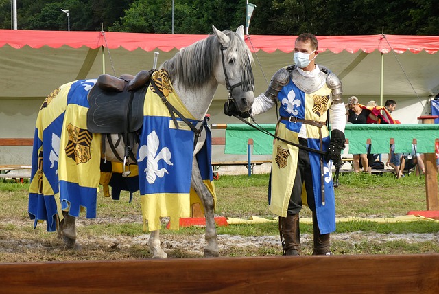 究充满了期 究充满了期