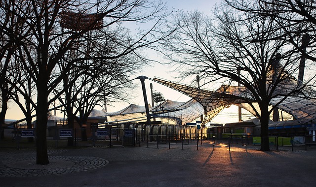 将不仅推动 将不仅推动