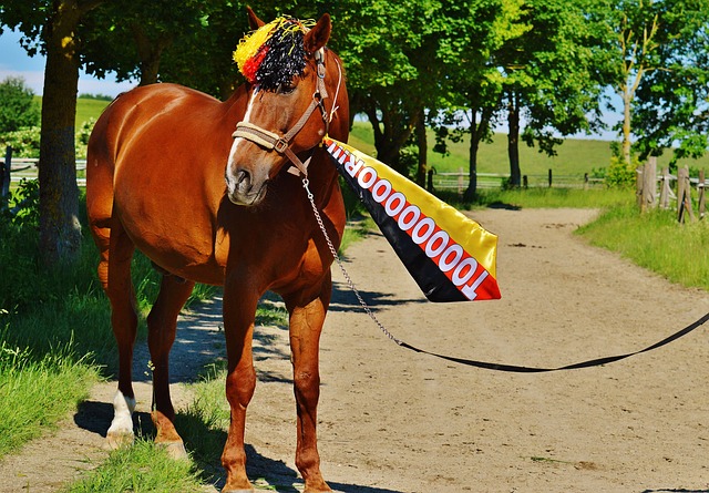 逆转不仅仅 逆转不仅仅